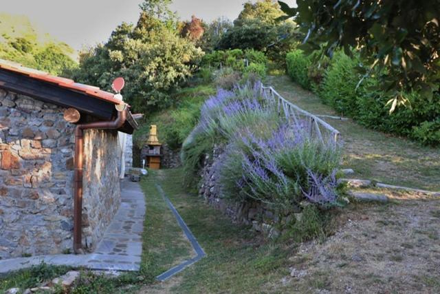 Casa Beatrice Holiday home